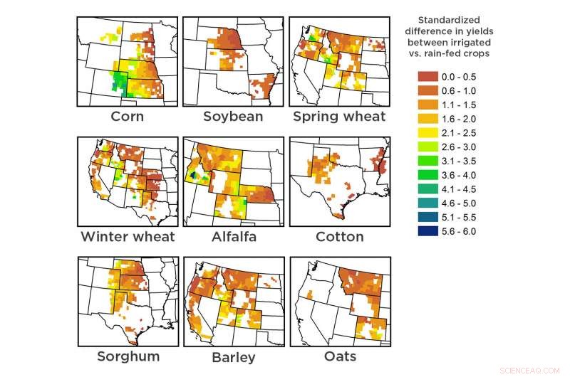 Growing Yield Gap: Irrigated vs. Rain-Fed Crops 1950‑2015