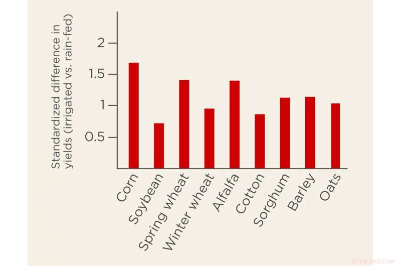 Growing Yield Gap: Irrigated vs. Rain-Fed Crops 1950‑2015