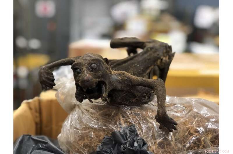 Wildlife Trafficking Undermines Sustainable Development—A Global Economic Threat