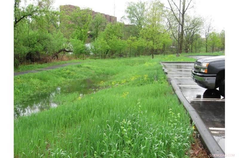 Detention Basins: Capturing Stormwater and Protecting Groundwater