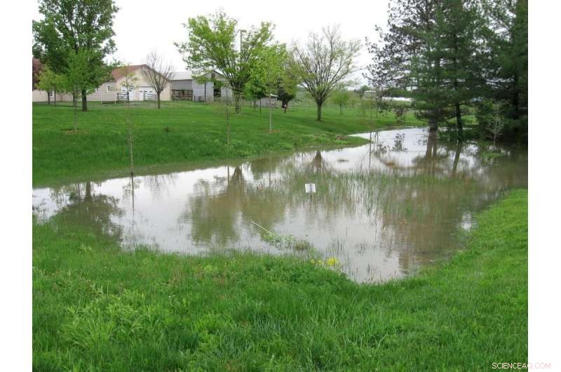 Detention Basins: Capturing Stormwater and Protecting Groundwater