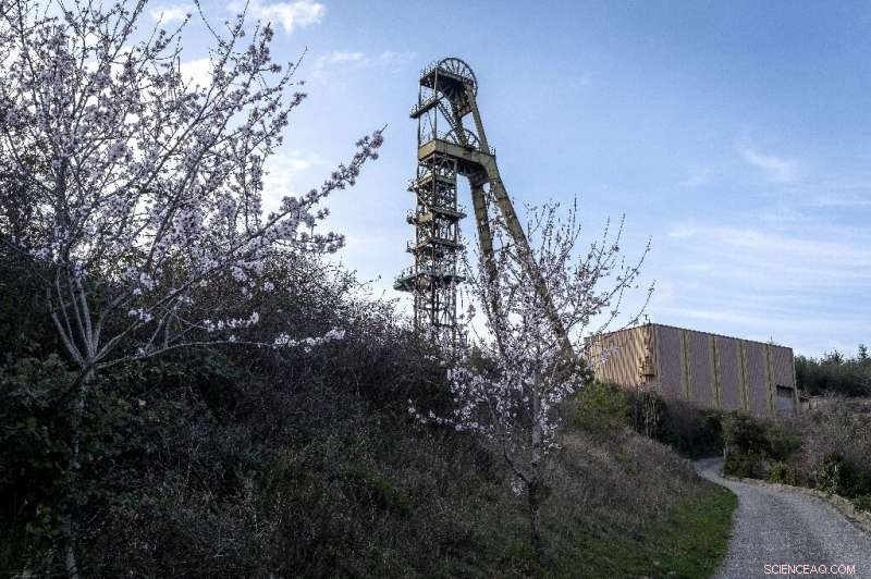 Elevated Arsenic Levels Found in Children Living Near Former French Mine