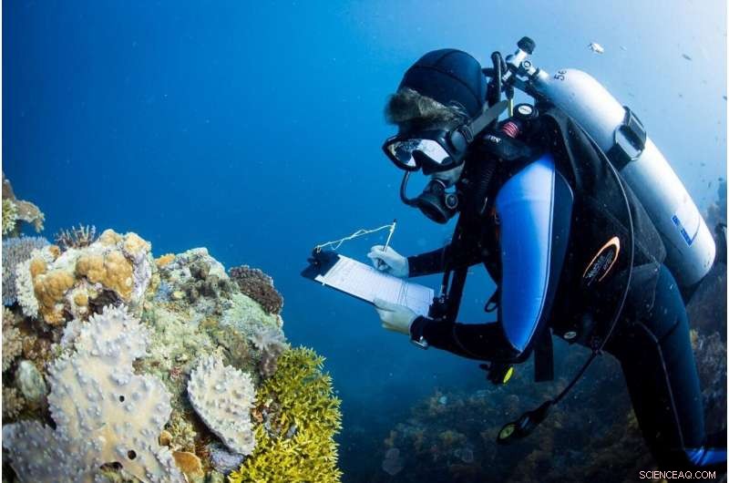 Global Study of Coral Communities Reveals Proven Strategy to Protect Reefs