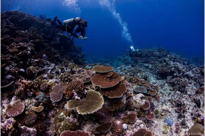 Global Study of Coral Communities Reveals Proven Strategy to Protect Reefs