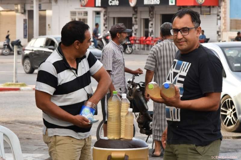 Tunisian Legmi: The Exquisite Date Palm Drink of Southern Tunisia