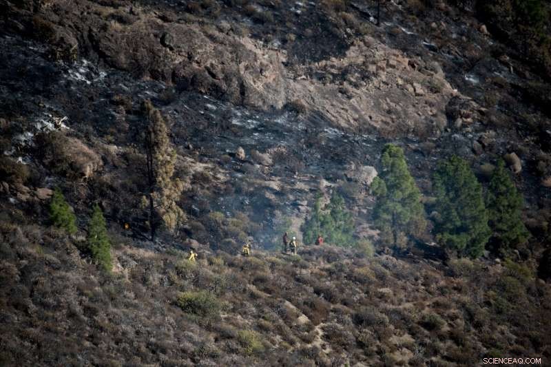 Gran Canaria Fire Contained: Firefighters Successfully Control Blaze on Spanish Holiday Island