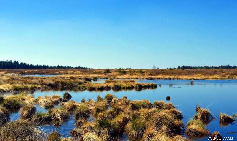 Measuring Peatland Carbon Emissions to Gauge Climate Impact of Development