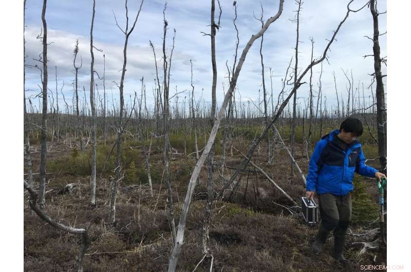 NASA Explores How Arctic Wildfires Shape Our Planet