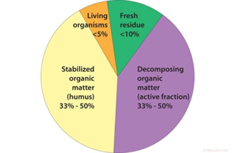 Restoring Soil: A Proven Strategy to Combat Climate Change