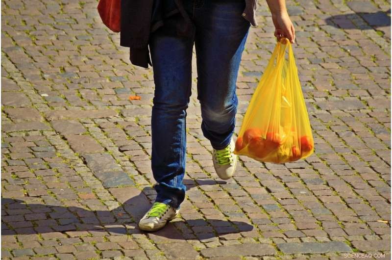 Why Plastic Bags Are Hard to Eliminate: The Persistent Problem