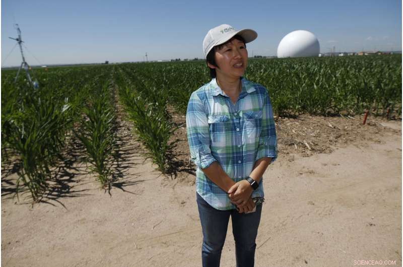 Farmers Harness Advanced Technology to Maximize Water Use from the Colorado River