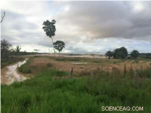 Protecting Peru s Madre de Dios Rainforest: The Power of Conflict Resolution