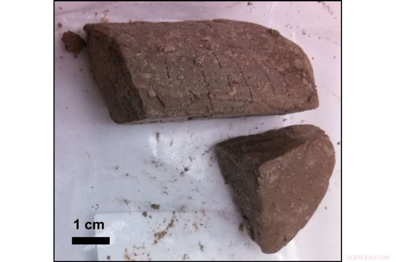 Scientists Unveil the Largest US Impact Crater, Hidden for 35 Million Years