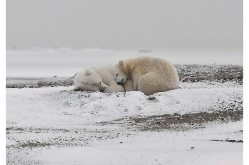 Arctic Ocean May Lose All September Sea Ice With 2°C Rise in Global Temperatures