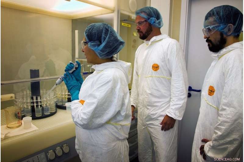 Meteorite Strikes: The Key to Life on Earth