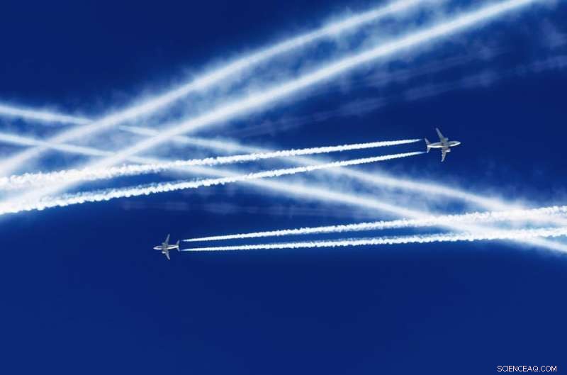 IPCC Urges Greener Eating to Protect the Planet – Is It Time for You?