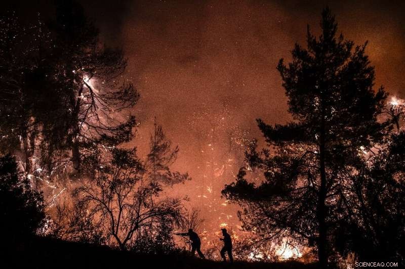 Massive Wildfire Ravages Evia Island, Threatening Ecosystems