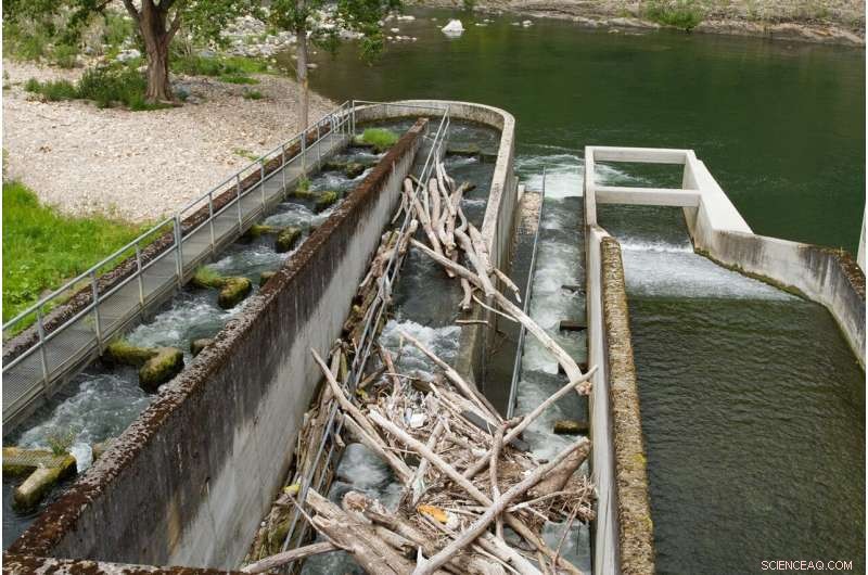 Reclaiming Rivers: Removing Obsolete Structures Restores Vital Water Flow