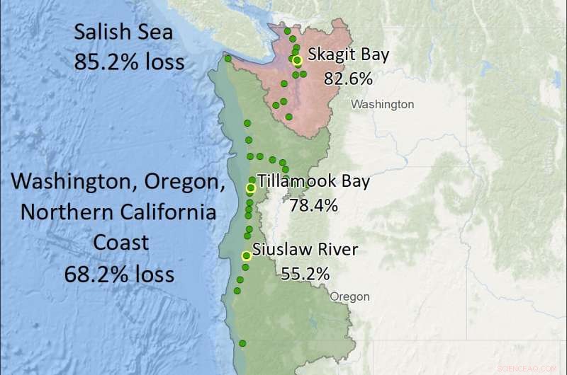 West Coast Estuaries Lose 85% of Habitat: New Mapping Reveals Critical Losses