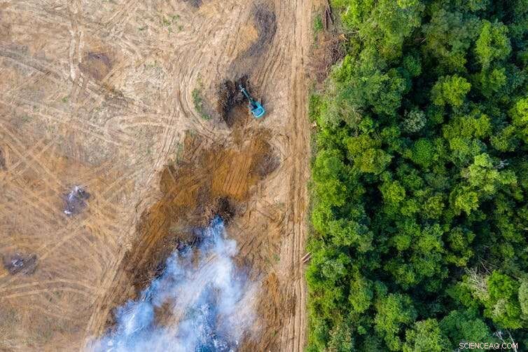 Three Key Benefits of Indonesia’s Permanent Forest Moratorium