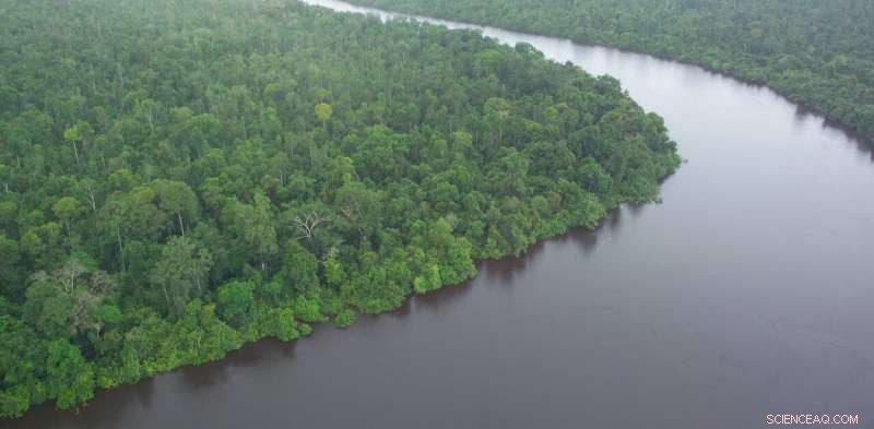 Three Key Benefits of Indonesia’s Permanent Forest Moratorium