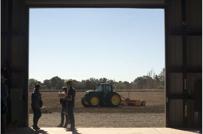 How Compost Drives Soil Carbon Sequestration: Proven Science & Practical Insights