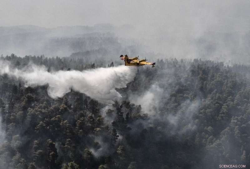 EU Water Bombers Aid Greece in Battling Wildfire on Second-Largest Island
