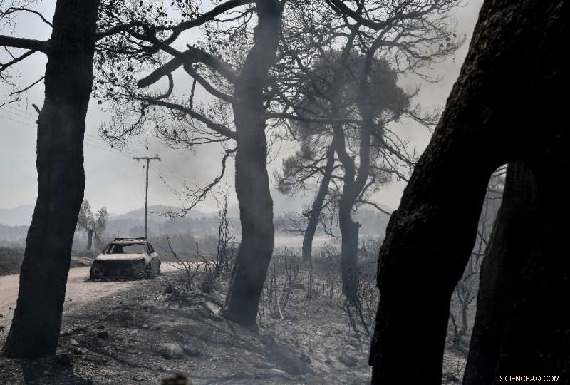 EU Water Bombers Aid Greece in Battling Wildfire on Second-Largest Island