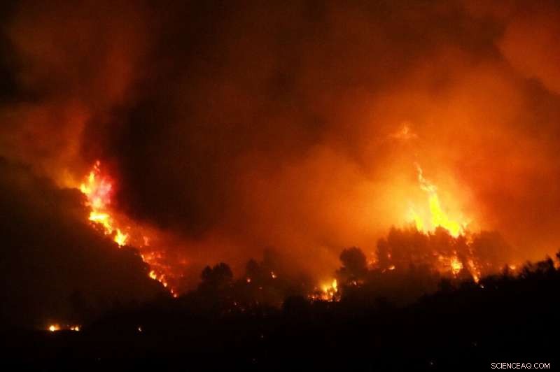 Major Wildfire Contained in Southern France after Extensive Firefighter Response
