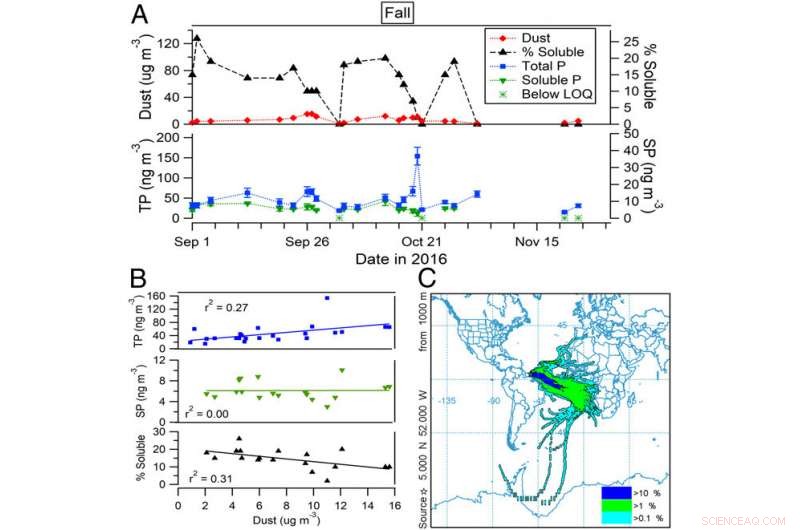 African Dust Supplies Soluble Phosphorus, Boosting Amazon and Tropical Ocean Ecosystems