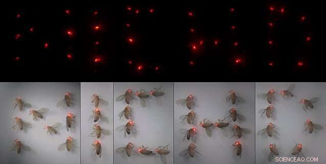 Leveraging Synthetic Biology for Environmental Sustainability