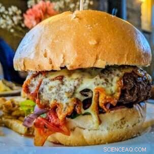 Leveraging Synthetic Biology for Environmental Sustainability