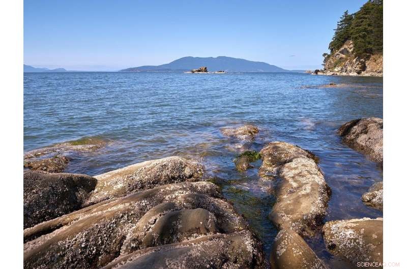 Assessing the Salish Sea’s Resilience to Climate Change: A New Study