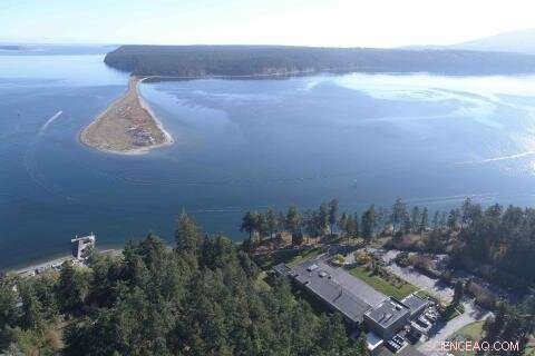 Assessing the Salish Sea’s Resilience to Climate Change: A New Study