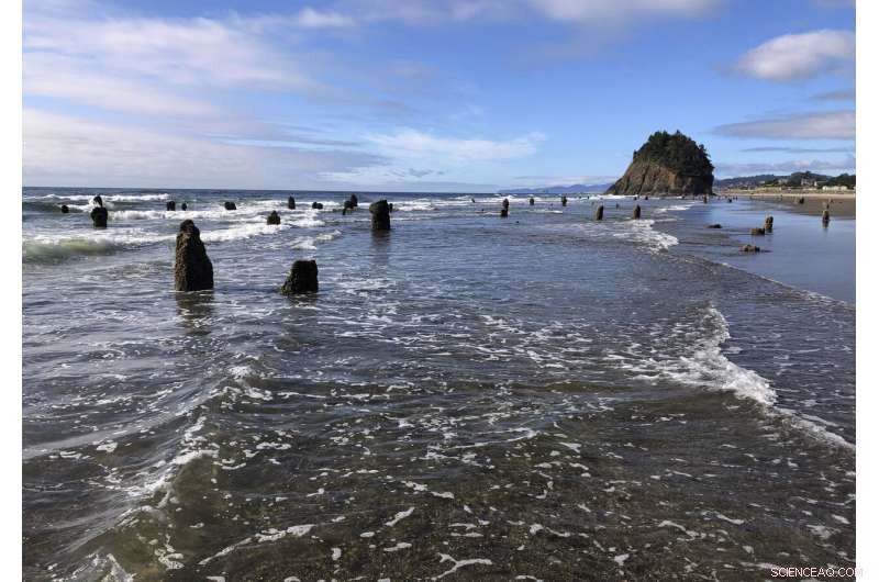 Oregon Removes Tsunami-Resistant Building Ban Amidst Critics  Outcry