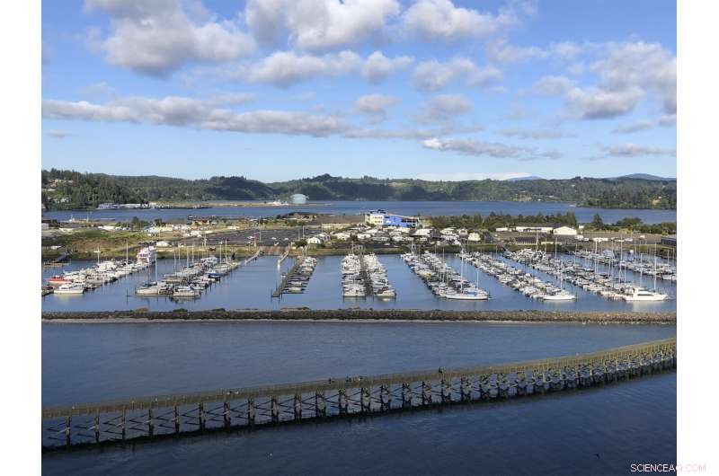 Oregon Removes Tsunami-Resistant Building Ban Amidst Critics  Outcry