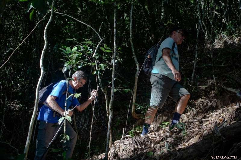 Trans-Brazil Trail: Building Hope for the Atlantic Forest s Future