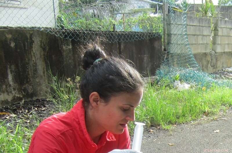 Reducing Mosquito-Borne Diseases: How Environmental Changes Make a Difference