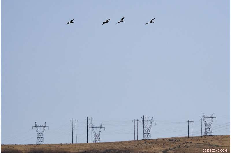 From Nuclear Test Sites to Wildlife Sanctuaries: The Peaceful Transformation of Former US Weapon Factories