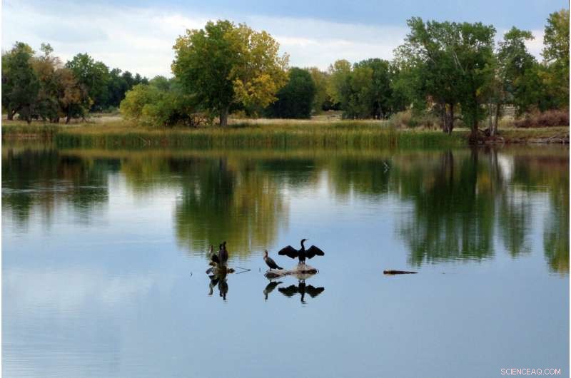 From Nuclear Test Sites to Wildlife Sanctuaries: The Peaceful Transformation of Former US Weapon Factories