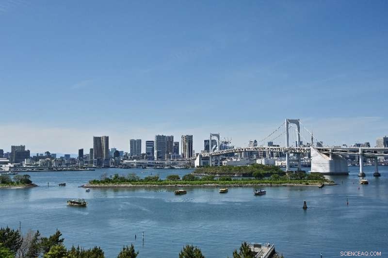Tokyo 2020 Paratriathlon Test Cancelled Over Unsafe Water Conditions