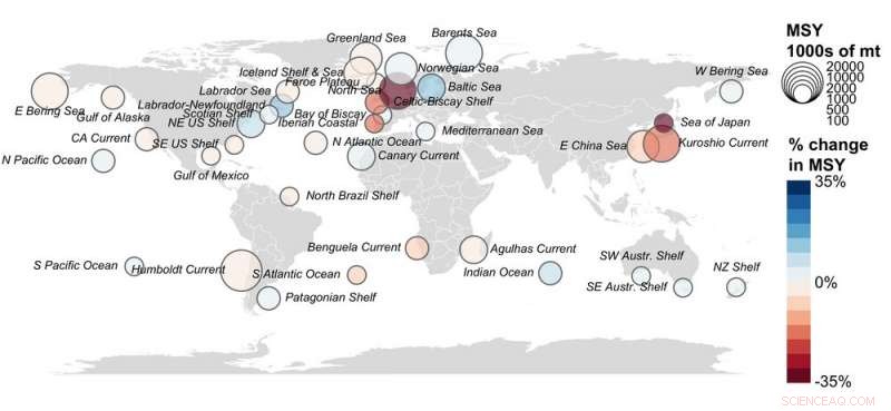 Ocean Warming Drives Fishery Shifts: Gains for Some, Losses for Many