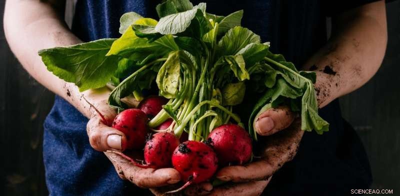 Unveiling the True Health Benefits of Organic Food: New Research Promises Clarity