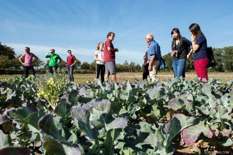 Dutch Families Join Collective Farm to Tackle Climate Change