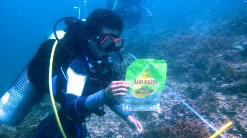 Indonesians Unite for Massive Beach Clean‑Up to Combat Marine Plastic Waste