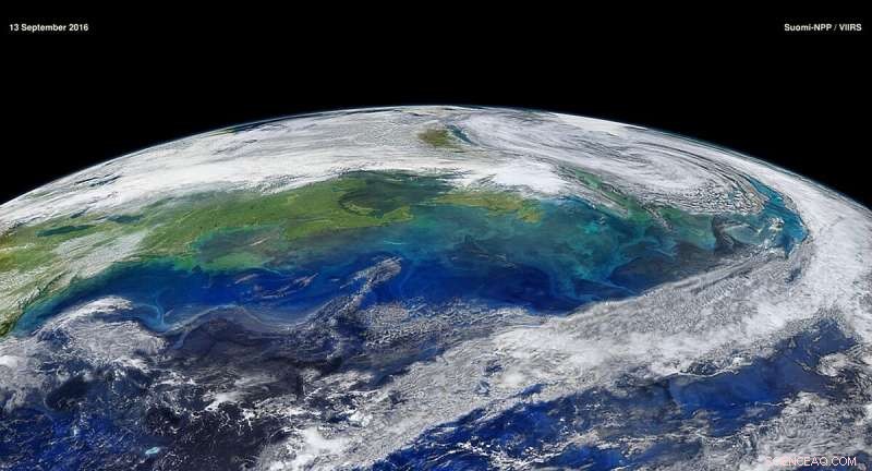 Princeton Study Provides Clear Roadmap to Detect Climate‑Driven Ocean Changes