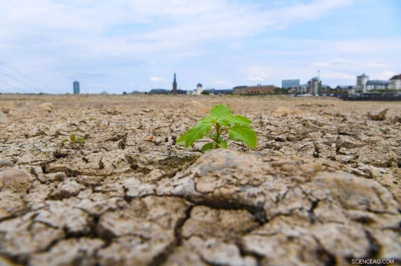 Longer, Deadlier Heatwaves Expected Even at 2°C Rise