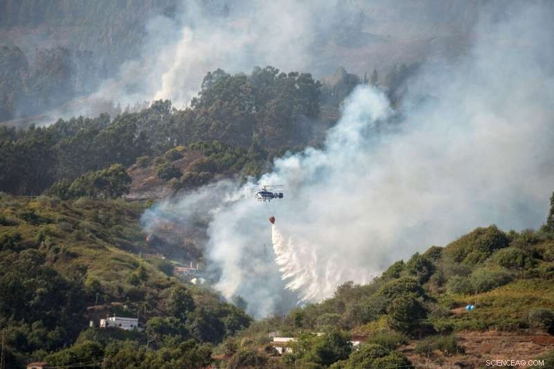 Wildfire on Gran Canaria Forces Evacuations, Threatening Paradise