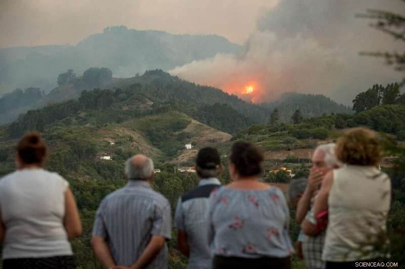 Wildfire on Gran Canaria Forces Evacuations, Threatening Paradise