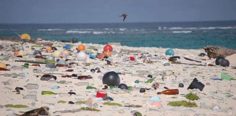 Innovative Strategies for Repurposing Ocean Plastic
